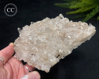 Clear Quartz Cluster #17