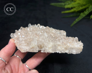 Clear Quartz Cluster #17