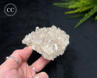 Clear Quartz Cluster #17
