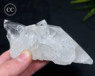 Clear Quartz Cluster #2