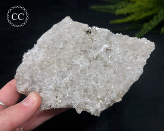 Clear Quartz Cluster #17