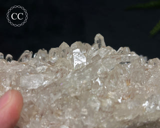 Clear Quartz Cluster #17