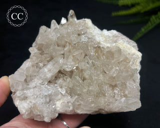 Clear Quartz Cluster #18