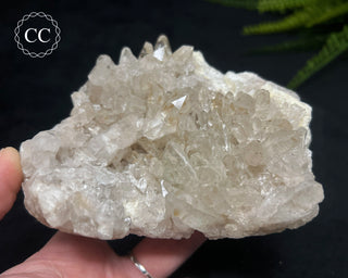 Clear Quartz Cluster #18