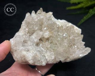 Clear Quartz Cluster #18