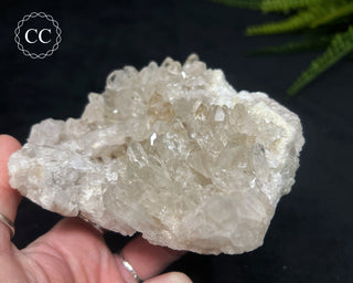 Clear Quartz Cluster #18