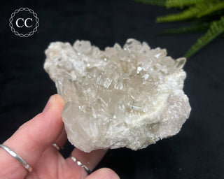 Clear Quartz Cluster #18