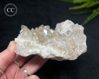 Clear Quartz Cluster #18