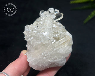 Clear Quartz Cluster #19