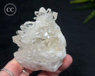 Clear Quartz Cluster #19