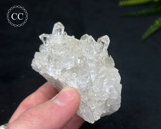 Clear Quartz Cluster #19