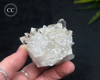 Clear Quartz Cluster #19