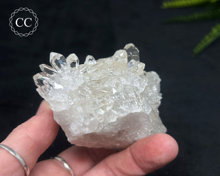 Clear Quartz Cluster #19