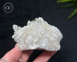 Clear Quartz Cluster #19