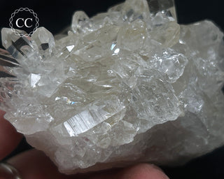 Clear Quartz Cluster #19