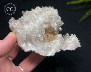 Clear Quartz Cluster #20