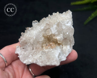 Clear Quartz Cluster #20