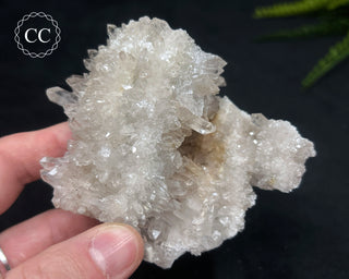 Clear Quartz Cluster #20
