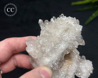 Clear Quartz Cluster #20