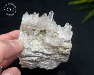 Clear Quartz Cluster #20