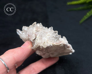 Clear Quartz Cluster #20