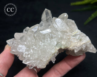 Clear Quartz Cluster #21