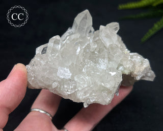Clear Quartz Cluster #21