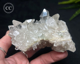 Clear Quartz Cluster #21