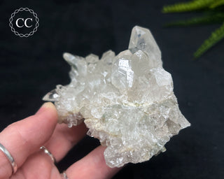 Clear Quartz Cluster #21