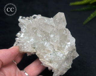 Clear Quartz Cluster #21