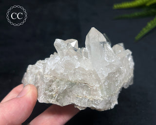 Clear Quartz Cluster #21