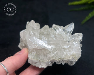 Clear Quartz Cluster #21