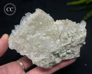 Clear Quartz Cluster #21