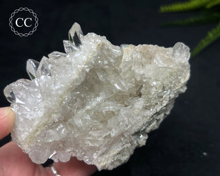 Clear Quartz Cluster #21