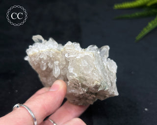 Clear Quartz Cluster #21