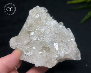 Clear Quartz Cluster #22