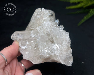 Clear Quartz Cluster #22