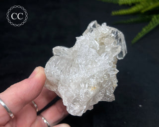 Clear Quartz Cluster #22