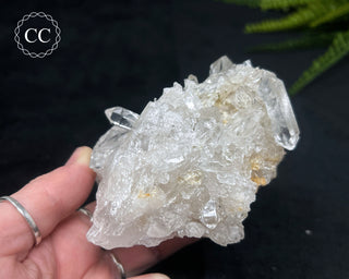 Clear Quartz Cluster #22
