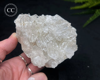 Clear Quartz Cluster #22