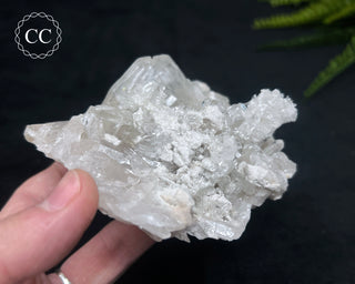 Clear Quartz Cluster #23