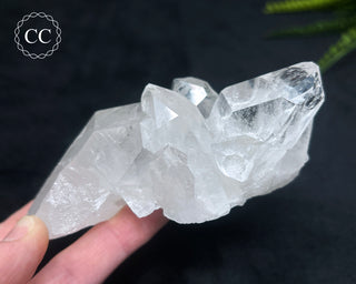 Clear Quartz Cluster #2