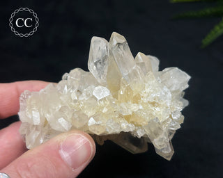 Clear Quartz Cluster #5