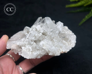 Clear Quartz Cluster #23