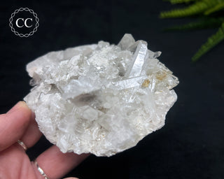 Clear Quartz Cluster #23