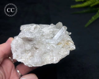Clear Quartz Cluster #23