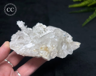 Clear Quartz Cluster #23