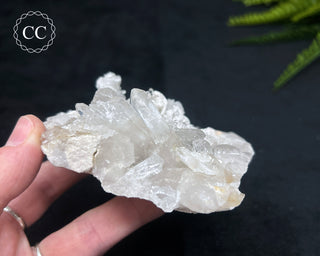 Clear Quartz Cluster #23