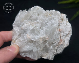 Clear Quartz Cluster #23