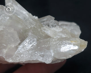 Clear Quartz Cluster #23